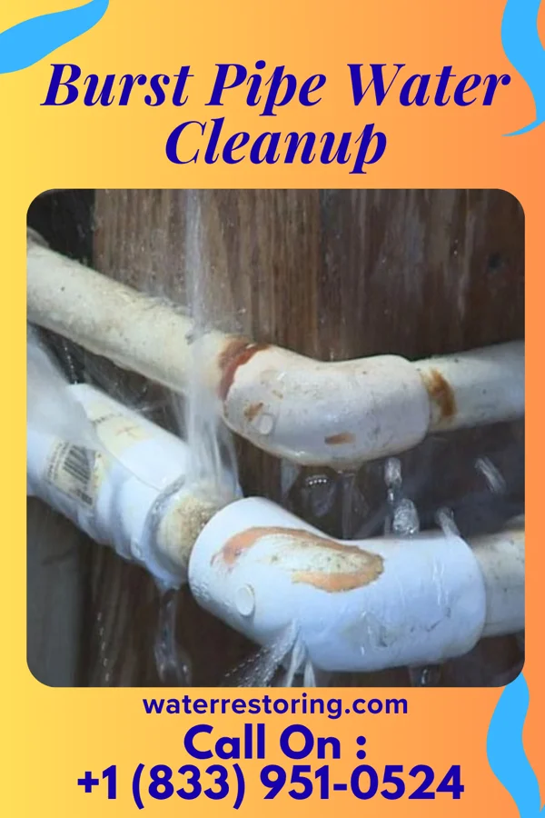Burst Pipe Water Cleanup in Lloydsville, OH