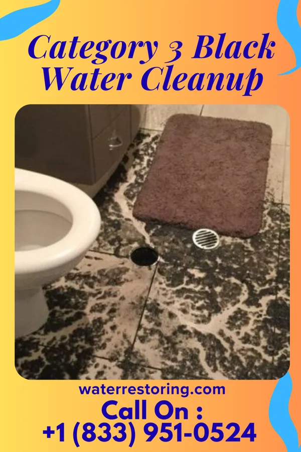 Category 3 Black Water Cleanup in Lloydsville, OH
