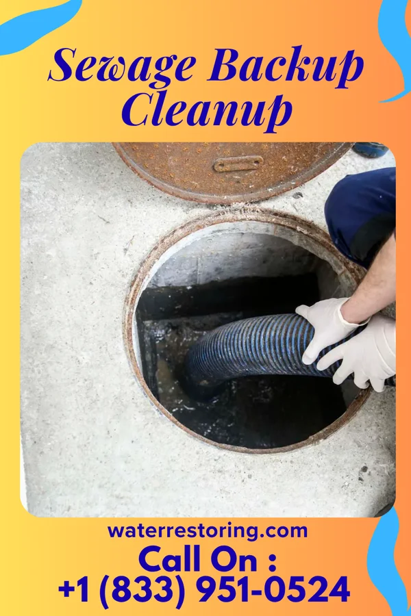 Sewage Backup Cleanup in Lloydsville, OH