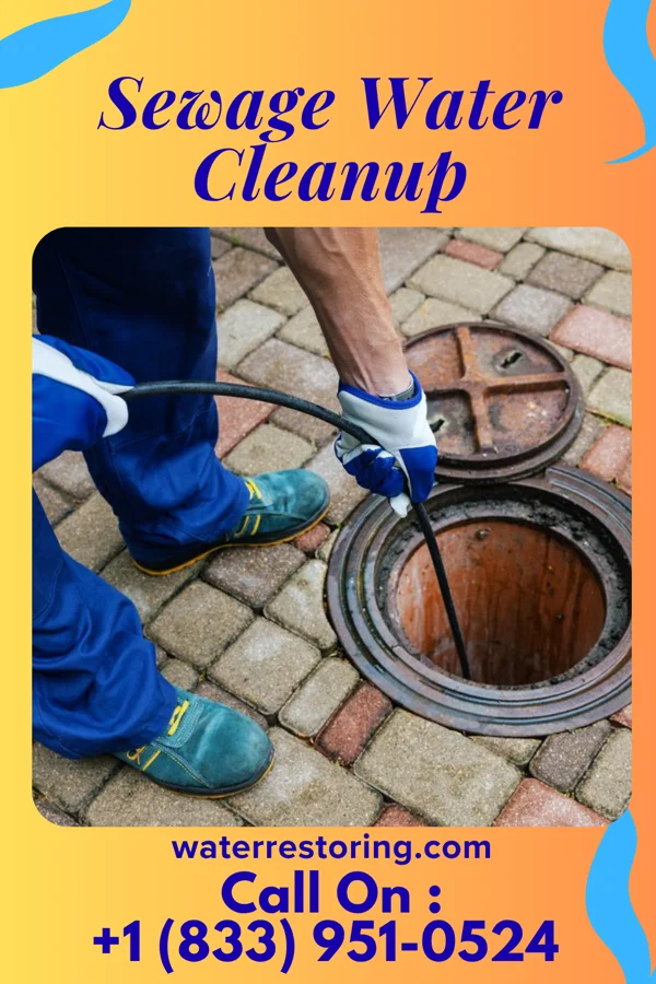Sewage Water Cleanup in Lloydsville, OH