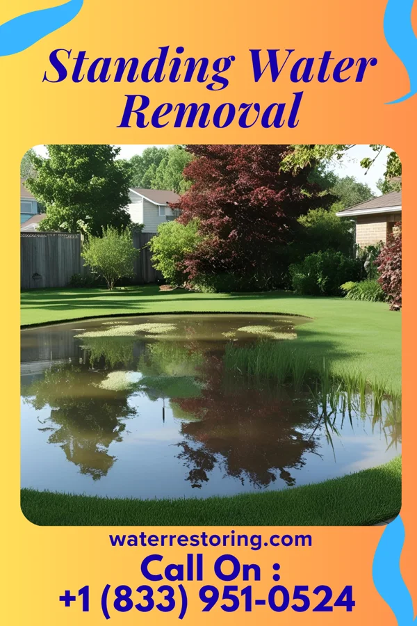 Standing Water Removal in Lloydsville, OH